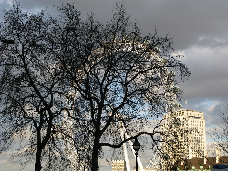 image London Eye behind a tree