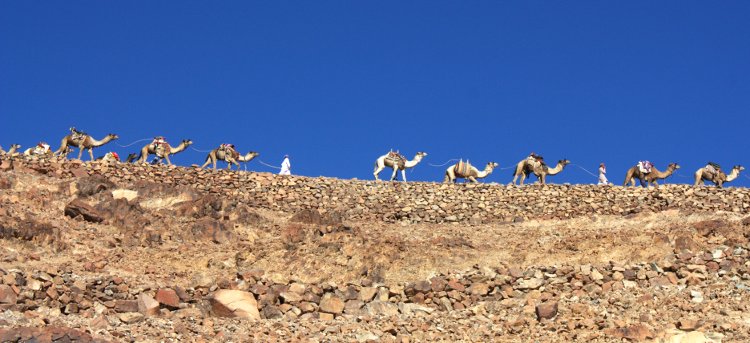 image Caravan on the mount Sinai