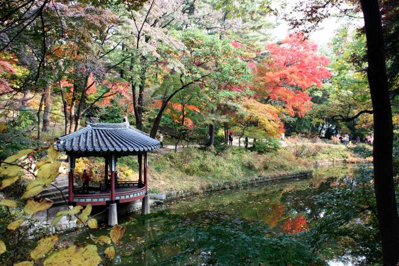image Pond in the Secret Garden in the Changdeokgung Palace