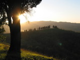 image Sunset in a field in the Emilia region