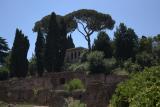 image A villa in the Forum Romanum