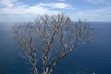 image Blue sea in Monterosso