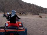 image Quad biking in the Sinai desert