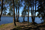 image Уржинское озеро lake in Solotcha (Солотча)