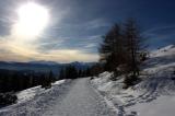 image South Tyrol