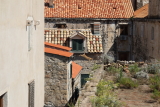 image Cat on the roofs of Dubrovnik